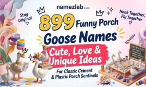 Funny Porch Goose Names
