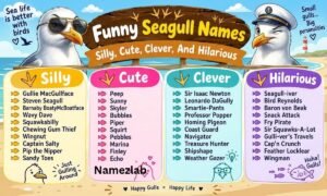 Funny Seagull Names